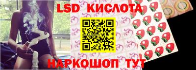 a pvp Бийск
