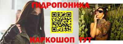 a pvp Бийск