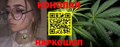 a pvp Бийск