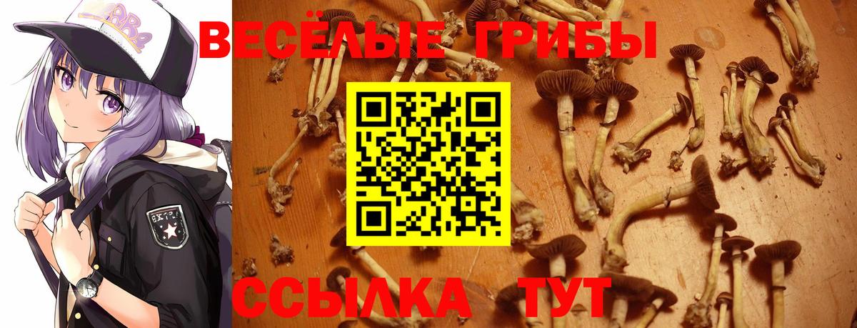 Кисловодск  Галлюциногенные грибы MAGIC MUSHROOMS  Вход с VPN 